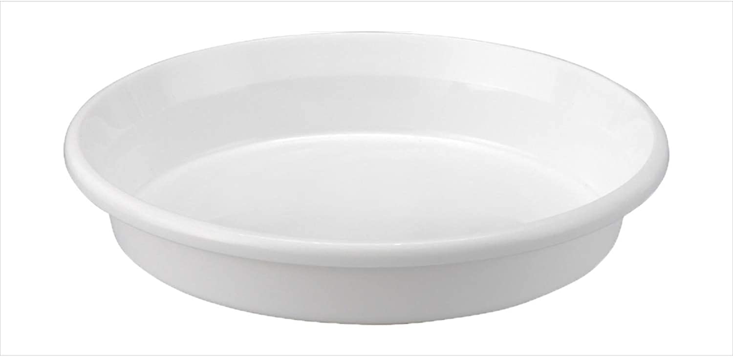 鉢皿F型 9号 ホワイト アップルウェアー