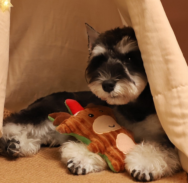 クリスマス ペット 玩具 犬  犬玩具 おもちゃ　発声 ストレス解消 噛む練習 ペット用品 ネコ雑貨