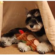 クリスマス ペット 玩具 犬 犬玩具 おもちゃ　発声 ストレス解消 噛む練習 ペット用品 ネコ雑貨