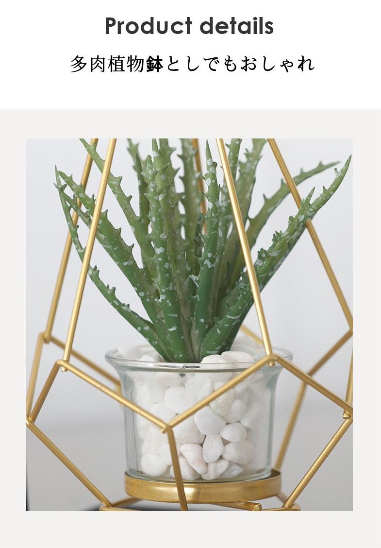 キャンドルホルダー メタルローソク足 リビングルーム装飾品 多肉植物  