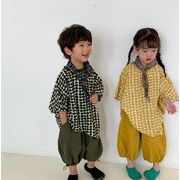 2023 人気 韓国風子供服 子供服  Tシャツ  キッズ  トップス 丸  ベビー服 半袖 男女兼用 2色