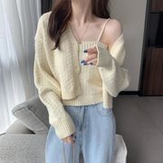春秋韓国のレディースニット  ファッションセーター トレンディなオールマッチ★ニット2点セット