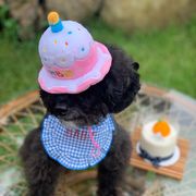 ins撮影道具  発声し   ペット用品     パーティー   デコレーション    誕生日ケーキの帽子  犬 動物