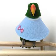 鳥 インコ エリザベス エリザベスカラー 鳥用 首輪 オウム レッド ブルー鳥用品