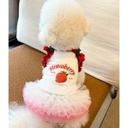 ペット用品 小型犬服  ネコ雑貨 犬服 猫服　   超可愛い  ワンンピース