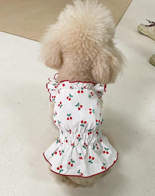 【2023春夏新作】ペット服  小型犬服   犬服  猫服   　超可愛い  犬用  ペット用品    ネコ雑貨