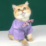 犬服 秋冬 Tシャツ 猫服 可愛い 人気 ファッション 小中型犬服 犬猫洋服 ペット用品 ドッグウェア