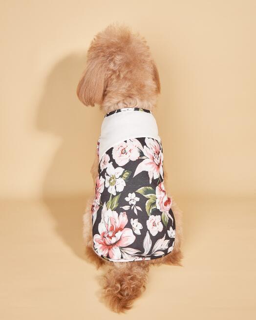 【2023春夏新作】ペット服  小型犬服   犬服  猫服   　超可愛い  犬用  ペット用品    ネコ雑貨