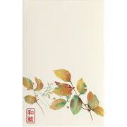 【ご紹介します！日本製！岐阜県美濃和紙ポチ袋『花さと』シリーズです！】花ものがたりポチ袋 われもこう