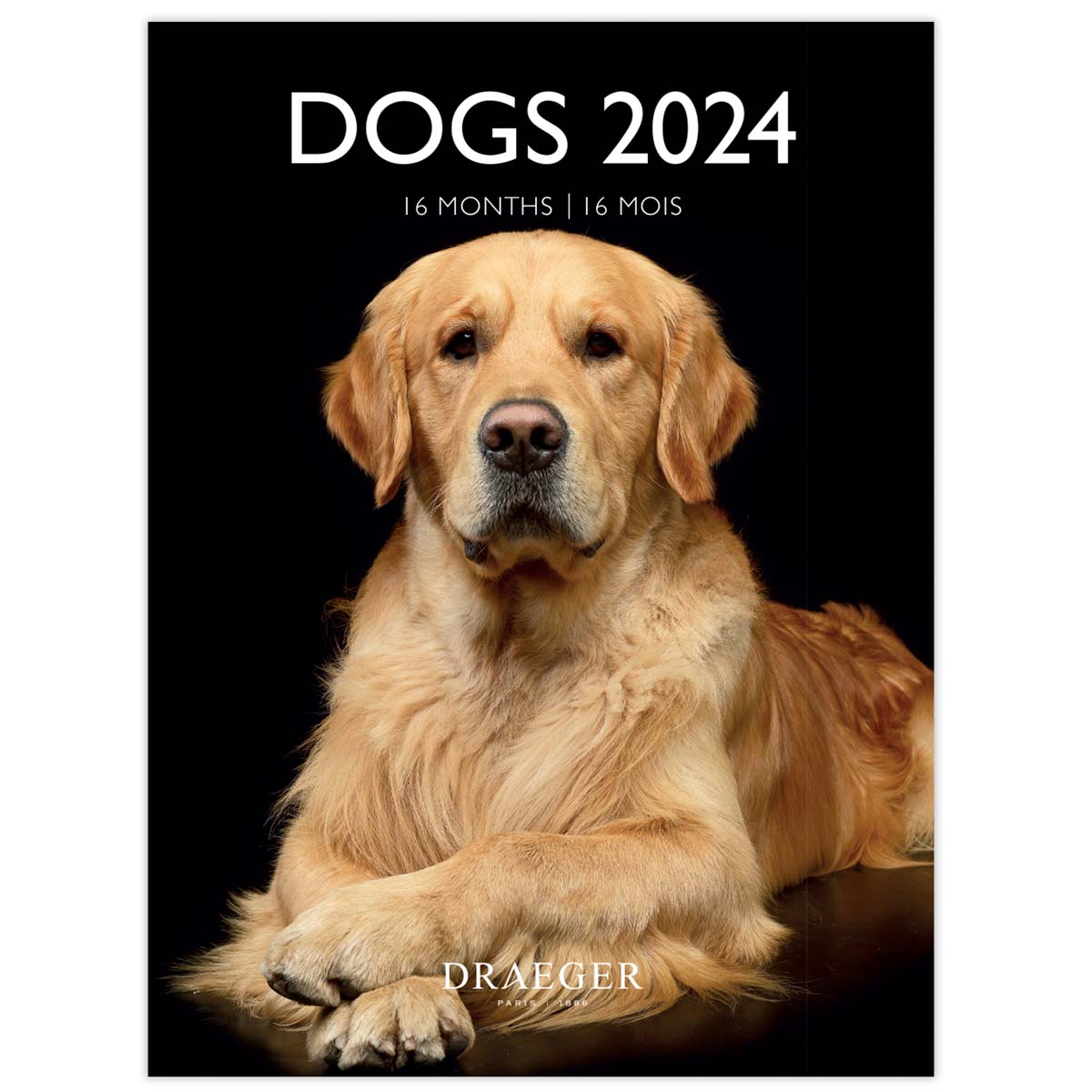 ドレジャー 2024年 スモールカレンダー DOGS 壁掛けカレンダー 犬