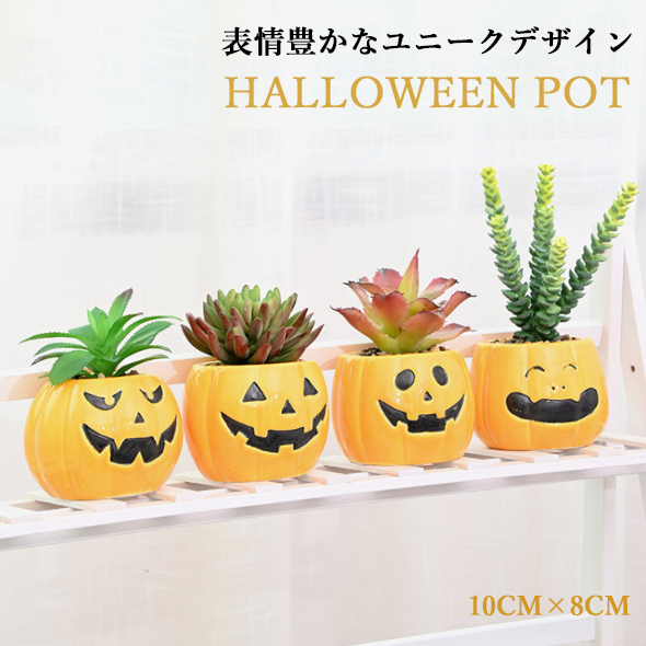 ユニーク かぼちゃ ハロウィン 植木鉢 プランター 多肉植物 多肉ポット