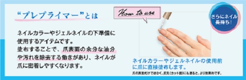 株式会社コージー本舗 ネイリスト ラスティングエッセンス 10ml