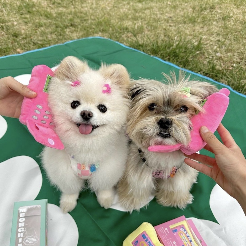 【2023春夏新作】 ペット用品　 音鳴る知育玩具 噛む玩具 犬 餌入れ 集中力向上・嗅覚訓練 ペット雑貨