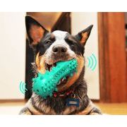 犬用おもちゃ 噛むおもちゃ 犬用歯ブラシ 犬の歯ブラシ 犬の噛むおもちゃ 健全な臼歯スティック