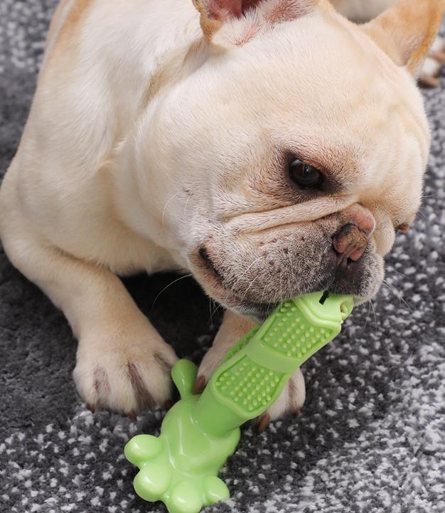 犬用おもちゃ 噛むおもちゃ 犬用歯ブラシ 犬の歯ブラシ 犬の噛むおもちゃ