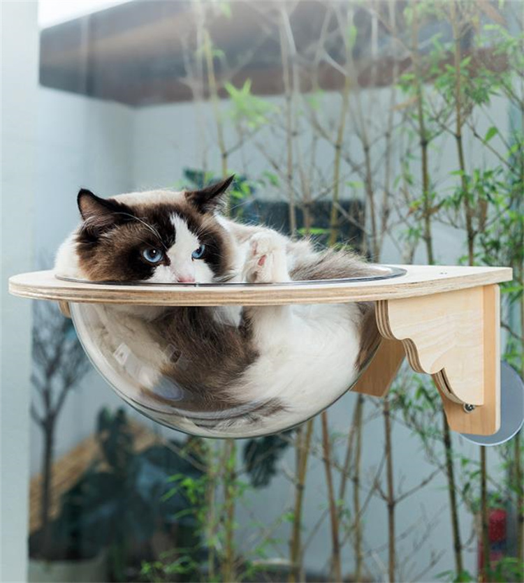 圧倒的な真実好評 猫用ハンモック 穴なし ガラス製吊り下げベッド 猫用吊り下げ巣 実木 透明宇宙船