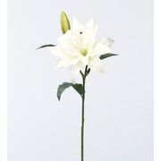 造花　ドライ　ディスプレイ　Ａ－３３３５７　カサブランカＸ１　＃００１　ホワイト