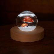 インテリアアイテム【Fun Science】ストームグラス　ドームきのこ&LEDライト　セット