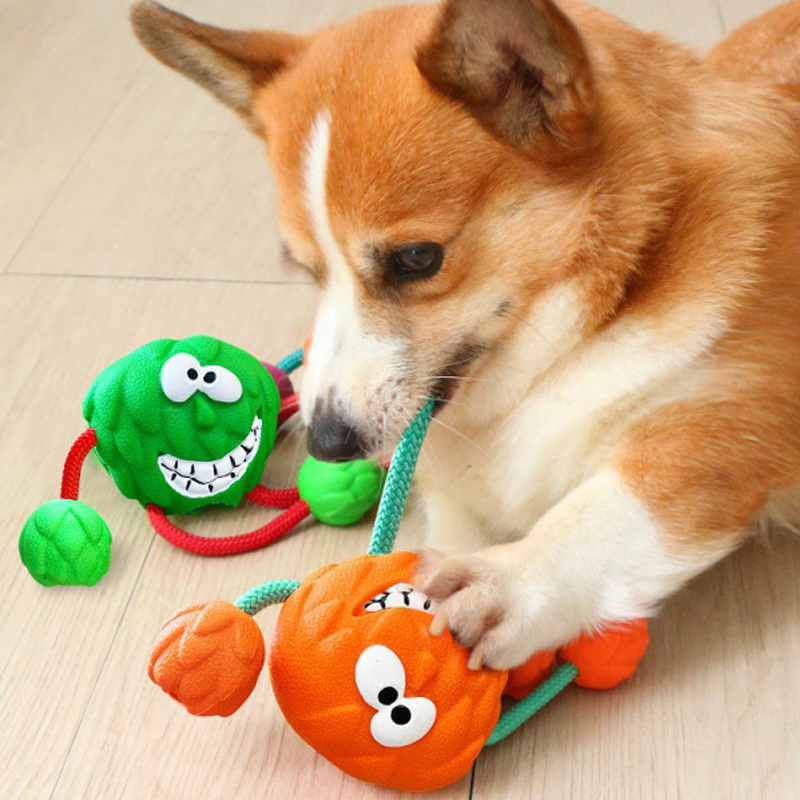 ペットの犬のおもちゃ、中小犬用おもちゃ、ペット歯のおもちゃ、響きの玩具、かみ傷に強い