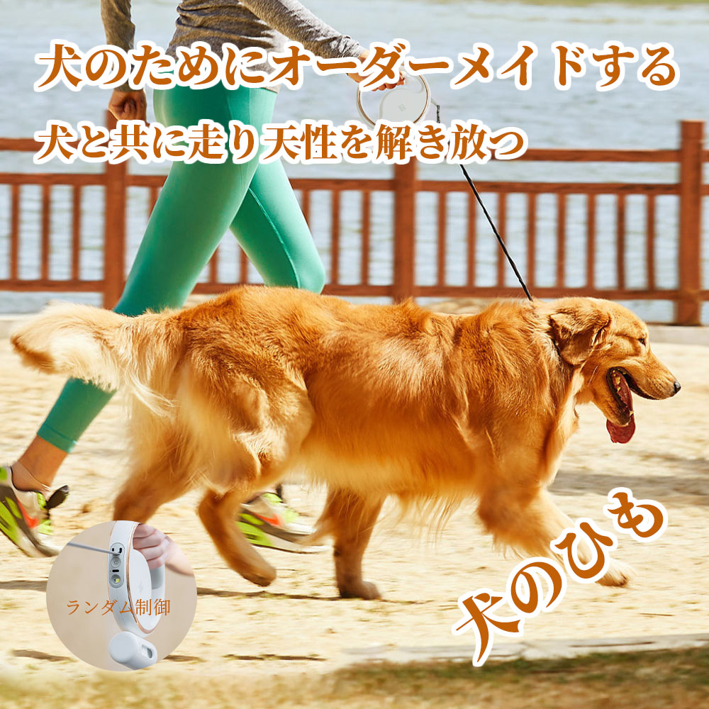 犬 リード 伸縮リード ロングリード 反射機能 おしゃれ 中型犬 大型犬