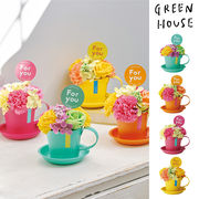 ■GREEN HOUSE(グリーンハウス）■　ビビッドマグ　ソープフラワー