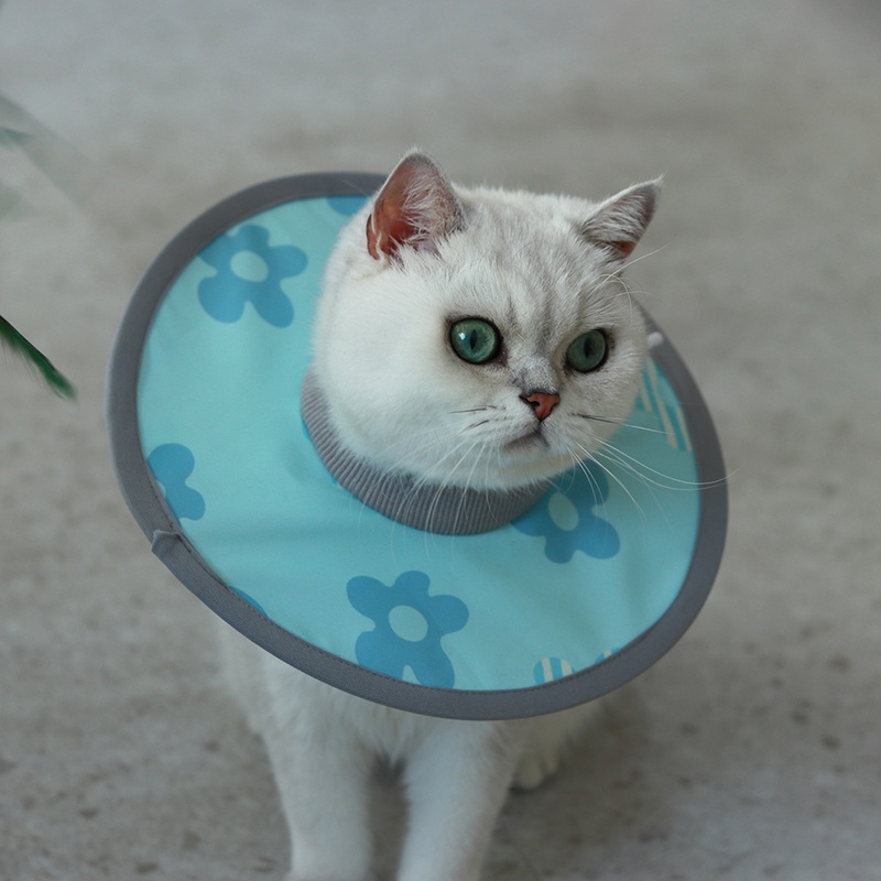 【2024春新作】 ペット用品 エリザベスカラー 可愛い 小型犬猫用 傷なめ防止 術後着 6デザイン展開