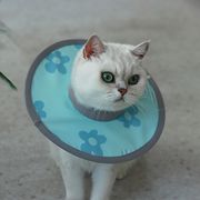 【2024春新作】 ペット用品 エリザベスカラー 可愛い 小型犬猫用 傷なめ防止 術後着 6デザイン展開