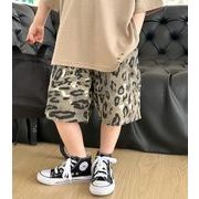 2024 ins  韓国風子供服   ボトムス  ショートパンツ  ヒョウ柄  男の子  おしゃれ