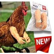 アームドペット 鶏に腕を装着させるためのストロングチキンアーム オリジナルチキンギフト チキンアーム