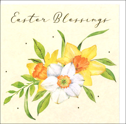 ミニグリーティングカード イースター「３つの水仙」 花 メッセージカード イラスト