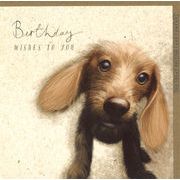 グリーティングカード 誕生日「犬」 動物 メッセージカード バースデーカード イラスト