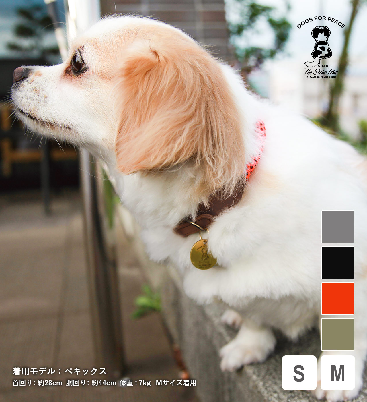 【DOGS】クライミングロープカラー (2サイズ 4カラー) DOGS FOR PEACE / ドッグスフォーピース