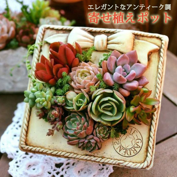 アンティーク調 寄せ植えポット 植木鉢 ポット プランター 多肉植物 多肉ポット インテリア鉢