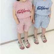 キッズ服     韓国風子供服    ストライプトップス+スカート   2点セット