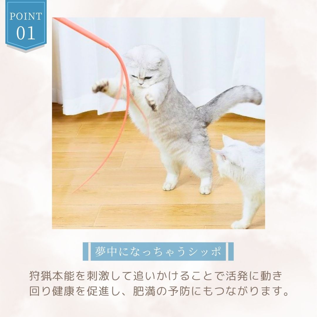 楽天市場】【全猫ちゃんにおすすめ】猫じゃらし 猫おもちゃ