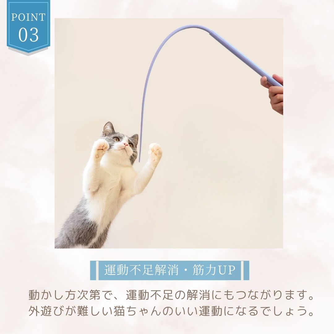 楽天市場】【楽天6冠】【anan掲載】 猫じゃらし 14点 セット