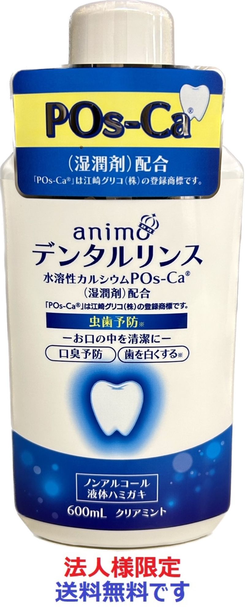 法人様限定)ＰｏｓーＣａ配合デンタルリンス クリアミント６００ｍｌ 株式会社 アイオロス 問屋・仕入れ・卸・卸売の専門【仕入れならNETSEA】