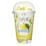 日向夏ポーションゼリー 22g×12個 宮崎産日向夏果汁 一口ゼリー