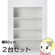 本棚 コミック棚 幅60 2個セット コミックラック 収納 ボックス 書棚 漫画 マンガ 文庫 CD DVD 固定棚