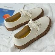 メンズ  靴  シューズ   運動靴 スニーカー  快適  お出かけ 帆布シューズ