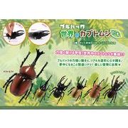 プルバック世界のカブトムシたち