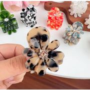 ヘアクリップ バンスクリップ ハーフアップ 花 フラワーモチーフ ユニーク アセテート