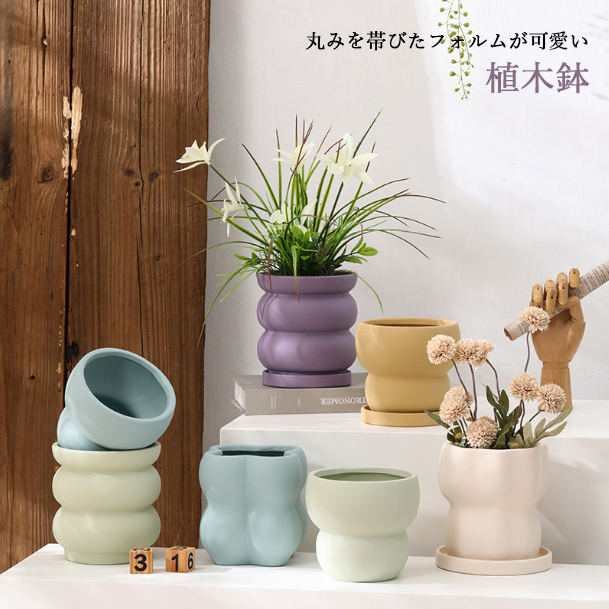 鉢植え 植木鉢 販売済み