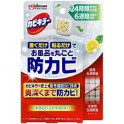 お風呂に置くだけ防カビジェルＣＴ本体　８ｍｌ