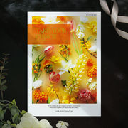 チョイスギフト テイク・ユア・チョイス　カーネーション   6490円コース【包装無料】（カタログギフト）