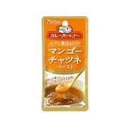 ハウス カレーパートナー マンゴーチャツネペースト 40gx10