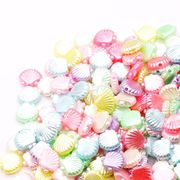 シェルビーズ　貝　500g入り 海外倉庫発送