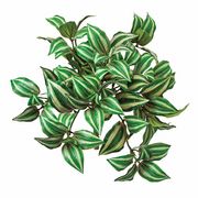 MAGIQ 難燃ゼブリナブッシュ　1本　FG612509-zzz