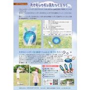 匠 Takumi しゃぼたあわおシャボン玉セット大玉 W235×D50×H370mm  sha-03