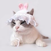 ペット用ぼうし うさ耳 うさぎ 兔 帽子 髪飾り アクセサリー 小型犬用 猫用 ペット用 装飾